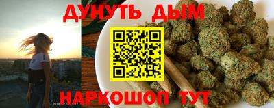 гидра Долгопрудный