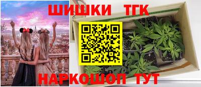 дмт Дмитров