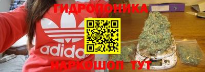 гидра Долгопрудный