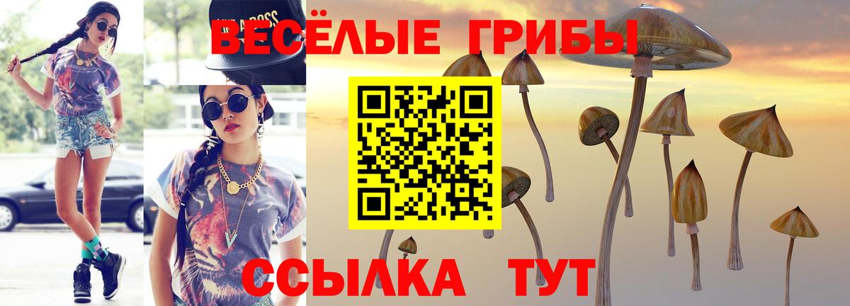 Галлюциногенные грибы мухоморы  Вход с VPN  Будённовск 
