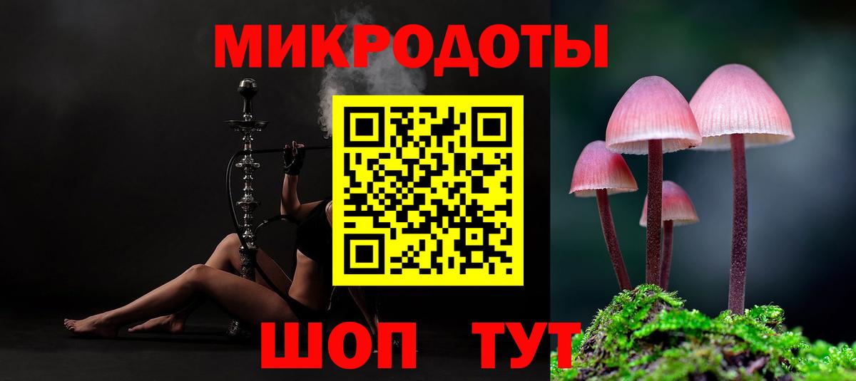 Псилоцибиновые грибы Cubensis Будённовск